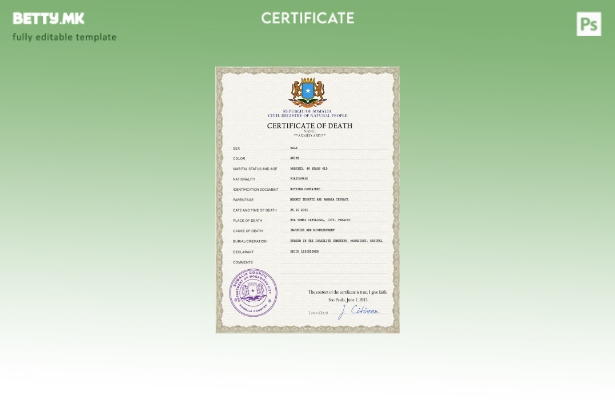 модерен стил на Сомалија од витално значење евиденција за смртен шаблон PSD шабл